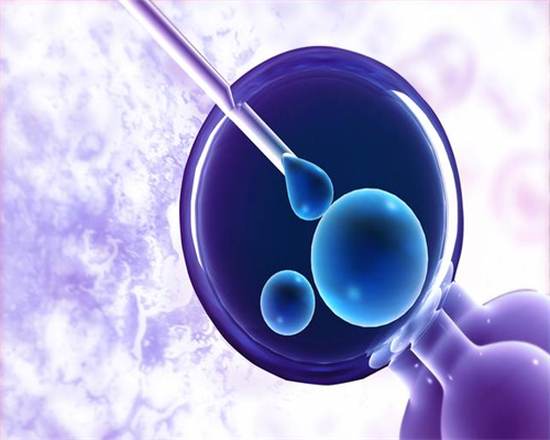 沈阳代孕最佳年龄|广西年龄大做供卵试管能成功吗，详解影响大龄女性供卵试