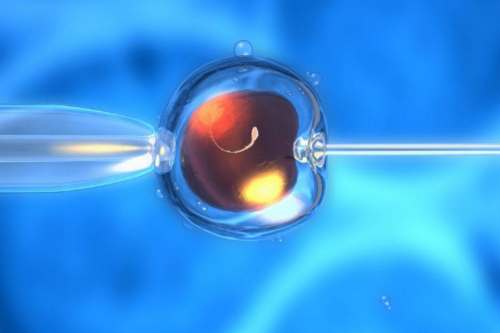 43岁女人怎样排卵生育&那边供卵合法吗,孕期饮食原则有什么