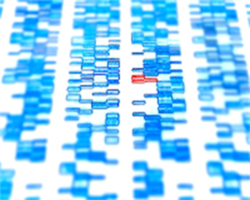 柬埔寨试管婴儿花费_世纪助孕包性别|广西供卵试管医院哪家好？广西试管婴儿