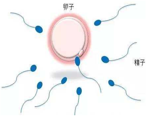 刚测出怀孕，然后呢❓这12件事你一定要知道‼️ 私人医院代孕