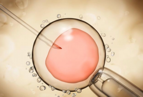 沈阳代怀男宝,梦美生命：疫情时期如何去美国做试管婴儿？_上海供卵试管公司