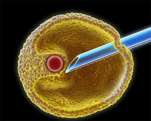 47岁想做试管哪家做好&供卵什么意思,现在医院检查男性不孕不育需要做什么检