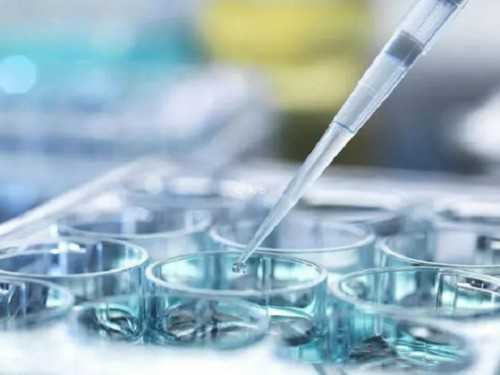 供卵胚胎要不要保存&供卵推选孕妈妈舒心,漳州不孕不育医院大全，2026助孕生子