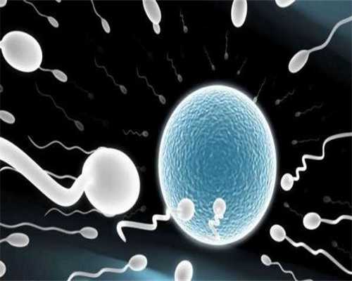 沈阳代孕公司良心推荐|临沂供卵试管婴儿(临沂妇幼试管婴儿武传叶)
