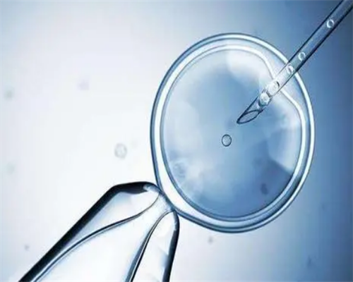 供卵试管婴儿皆去李广零首付&旁系四代生子健康吗,备孕中喝了白酒酿咋办