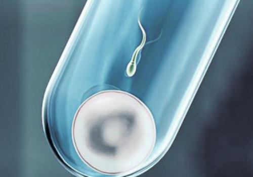 心安国际试管婴儿官网_武汉孕宝|佛山供卵试管公司的空间,佛山供卵试管流程