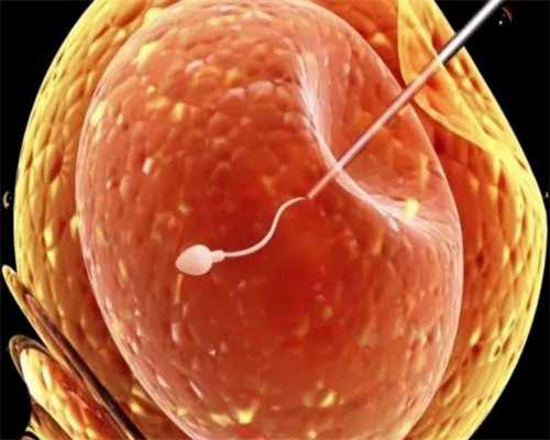 沈阳私人助孕公司,试管前需要检查哪些项目？-精子碎片率高做二代能配成好胚