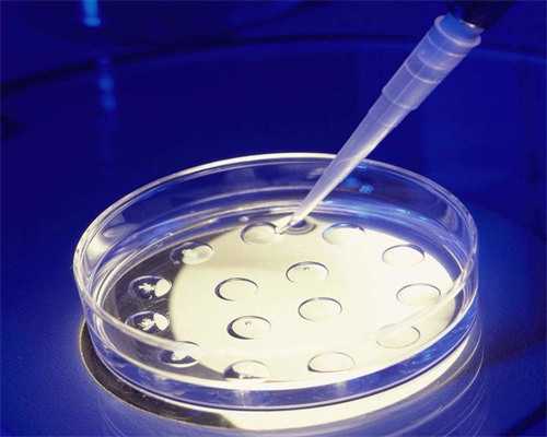 完达山一段奶粉价格表图片在哪里查看？