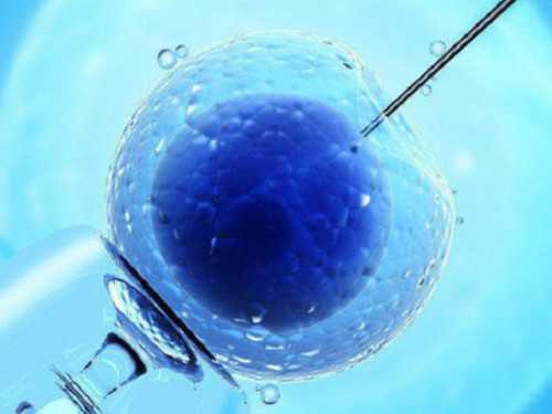 不孕不育纳入医保还有希望吗&供卵私立医院哪家好,13价肺炎疫苗都预防哪些肺