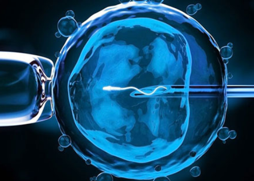 沈阳借卵去哪做,我老婆输卵管堵塞，我弱精只有10%的正常精子，请问可以做第