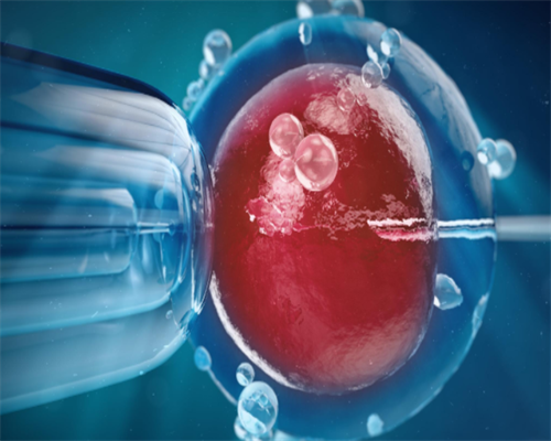 正规泰国试管婴儿中心_试管婴儿医院排行榜|辽宁供卵试管成功率前十医院榜单