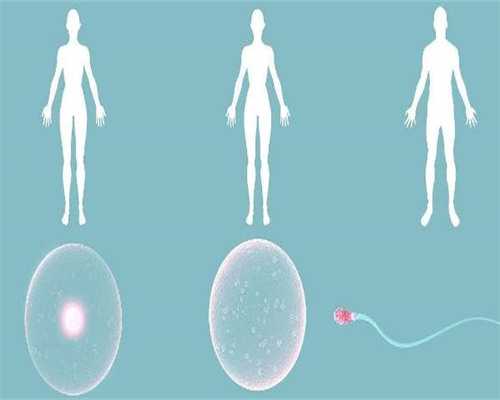 沈阳爱心借卵中心,沈阳第三代试管婴儿成功率怎么提高？