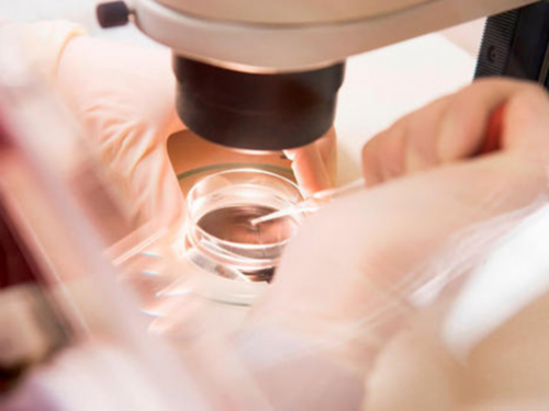 武汉孕宝_哲宇国际助孕中心|包头供卵试管血型：包头供卵试管血型要求