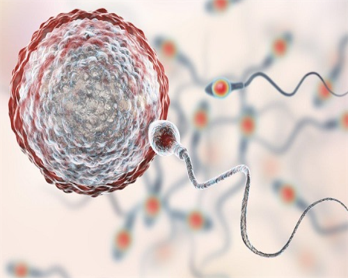 沈阳有正规代孕公司,做一次试管的费用是多少  北京哪家试管婴儿医院好-预约