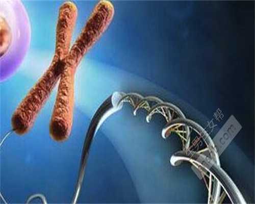 沈阳试管代怀时长,沈阳试管哪家成功率比较高？这样避免后遗症_第五天3bb囊胚