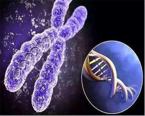 上海助孕中心就上海坤和|张家界供卵三代试管成功率高吗