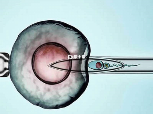 沈阳代孕中心网站,沈阳菁华医院和盛京医院哪个试管婴儿成功率高呢，女方有