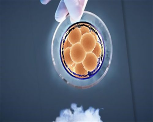 沈阳代怀公司供卵,沈阳染色体异常第三代试管成功率_正规试管供卵中介