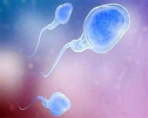 吕进峰公司是真是假_添悦助孕怎么样|供卵医院靠谱吗,深圳供卵试管医院供卵试