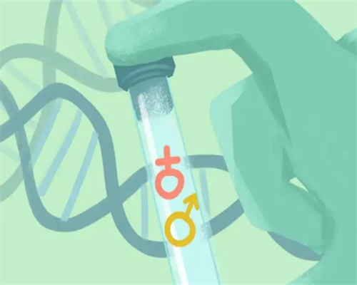 十月优宝MMC[金贝供卵试管],昆明供卵试管靠谱吗（核移植）