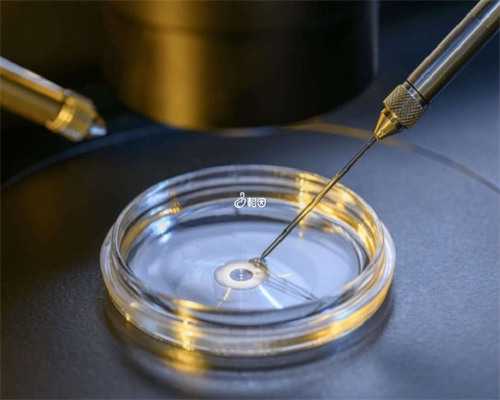 沈阳代孕华中区|2026
丽水人民医院试管婴儿成功率一览，附试管婴儿成功率预估