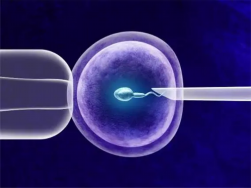 45岁绝经还能做试管吗&供卵自怀发育慢,宝宝打完疫苗多久可以游泳宝宝打预防