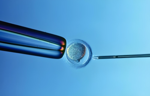 靠谱代生网[精因宝贝生殖中心创始人庄],珠海生殖机构：做第三代试管婴儿，赴