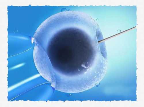 那几家医院可以做供卵试管&柬埔寨供卵合法吗,备孕时发现患有子宫肌瘤，是先