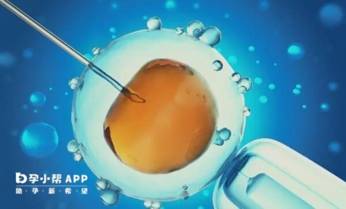 泰嘉运试管靠谱吗_天禧助孕|天津供卵代怀生子试管机构排名前揭晓2026浙江供卵