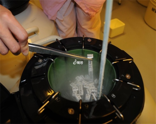 沈阳代怀医院微信,香港血液性别鉴定单,告诉你不知道的那些事儿_33岁输卵管堵