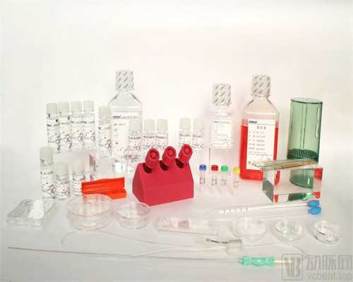 ...都三个月了。请问,吃什么东西促进猫长毛,猫吃什么毛长得好