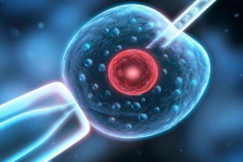 沈阳代孕双胞胎要多少钱|2026石家庄民间供卵试管机构排名公布！附各大医院卵