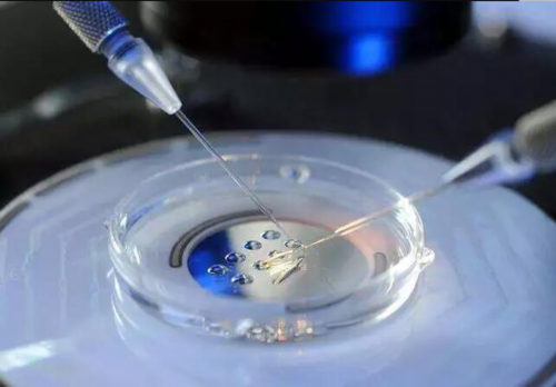 上海添丁助孕招聘网_武汉皇家生殖医院|常州供卵试管婴儿费用,郑州供卵试管婴