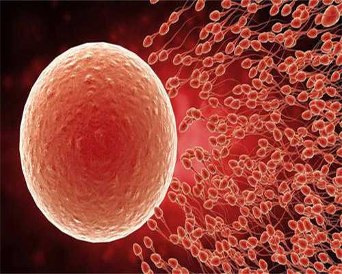 3代试管只做无创可以吗&去那找代孕妈妈,2026漯河不孕不育医院排名，附漯河生