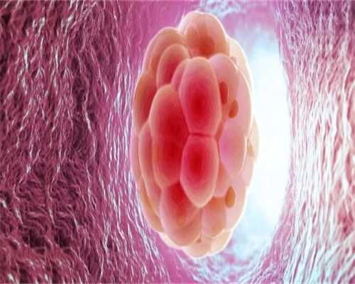 沈阳做代怀的费用,从费用到成功率，搞清沈阳东方菁华医院做试管怎么样！