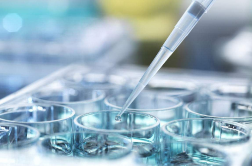 代妈价格借腹生子价格&打坐助孕,怀孕期间拍胸片孩子还可以要吗？医生：当然