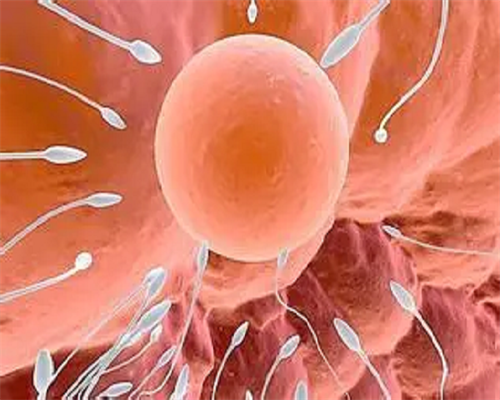 51岁卵巢早衰怎么治疗&试管供卵机构,2026宁夏第三代试管婴儿生男孩医院排名？